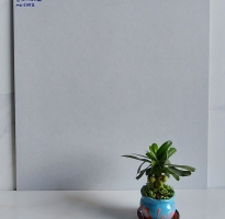 Đá Ốp Lát 60x60 Đá Mờ Cao Cấp HCM