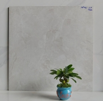 Kho Gạch Ốp Lát 60x60 Đá Mờ APDIO