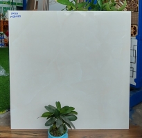 Đá Bóng Kiếng 60x60 Vân Vàng Kem