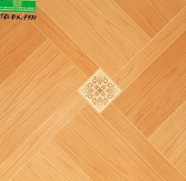 Gạch lát nền 50x50  bình chánh  7731