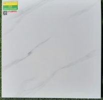 Gạch cao cấp 60x60 bình chách EF69002