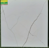 Gạch giá rẻ 60x60 ý mỹ  NE69003