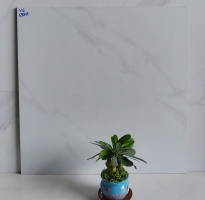 Gạch 60x60 Trắng Vân Khói Vi Tinh 