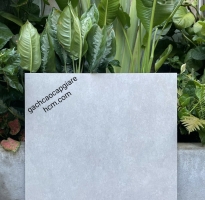 GẠCH ẤN ĐỘ 80x80 MẪU MỚi SiÊU HÓT