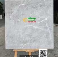 Gạch Ấn Độ 80x80 Vân Giả Đá Lát Nền Bóng Kiếng Vi Tinh