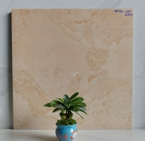 Gạch APDIO Cao Cấp 60x60 Đá Mờ Ốp Lát