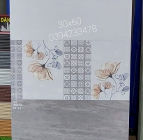 Gạch Bóng Kiếng 30x60 Ốp Lát Roayl