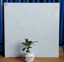 Gạch Bóng Kiếng 60x60 Trắng Vân Khói