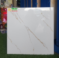 Gạch Bóng Kiếng 60x60 Trắng Vân Vàng Sale