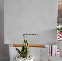 Gạch Bóng Kiếng 80x80 Gò công tây