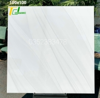 Gạch Cao Cấp 100x100 Khổ Lớn CMC Mẫu Mới