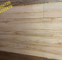 Gạch Cao Cấp 20x120 Nhập Khẩu Trung Quốc