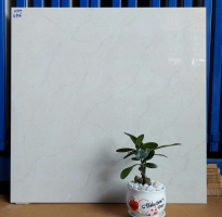 Gạch Cao cấp 60x60 Lát Nền CMC