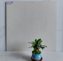 Gạch Cao Cấp 60x60 Mẫu Mới 