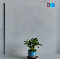 Gạch Cao Cấp 60x60 Tại Tỉnh Lộ 10