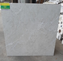 Gạch cao cấp 60x60 tân đức rẻ nhất long an