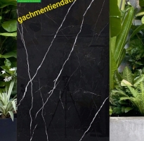 Gạch Cao Cấp Ấn Độ 80x160 Đen Vân Trắng 