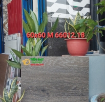Gạch Cao Cấp Đá Mờ 60x60 Ốp Lát Giả Gỗ Vân Xám