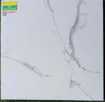 Gạch cao cấp 60x60 giá rẻ bình tân EP69001R