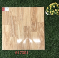 Gạch Cao cấp Ốp Lát 60x60 Vân Gỗ Tại Q6