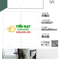 Gạch Cao Cấp TQ 80x80 Trắng Vân Kim Cương Lát Phòng Khách