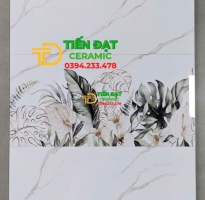 Gạch Đá Bóng Kiếng 30x60 Ốp Tường Trắng Vân Mẫu Mới