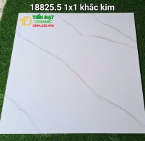 Gạch Đá Đồng Chất 100x100 Trắng Vân Nhũ Vàng 