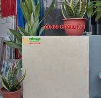 Gạch Đá Mờ 60x60 Cao Cấp Gò Dầu Tây Linh