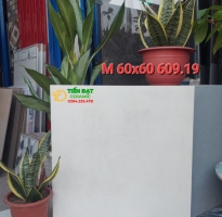 Gạch Đá Mờ 60x60 Nhập Khẩu Ấn Độ Cao Cấp