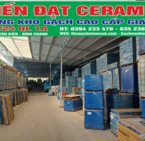 Gạch Đá mờ khổ lớn TQ 120x240 