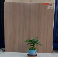 Gạch Đá Ốp Lát 60x60 Vân Gỗ 