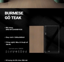 Gạch Giả Gỗ Khổ Lớn TQ 120x240 Đá Mờ Cao Cấp BURESE