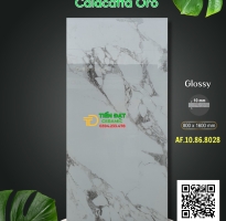 Gạch Granite 80x160 Ốp Lát Trắng Vân Đen Mẫu Mới