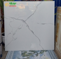 Gạch Khổ Lớn 100x100 Đá Bóng Kiếng Trắng Vân Mẫu Mới