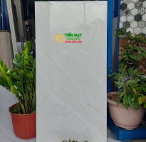 Gạch Khổ Lớn Ốp Tường TaSa 50x100 Cao Cấp Giá Rẻ