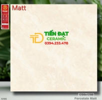 Gạch Khổ Lớn Prime 120x120 Đá Mờ Vân Vàng Mẫu Mới