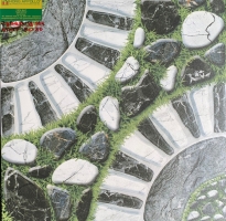 Gạch lát giá rẻ 50x50 sân vườn viglacera SG504