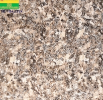 Gạch lát nền 50x50 giá rẻ 5521