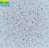 Gạch cao cấp 50x50 long an 5024