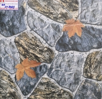 Gạch lát nền 50x50  sân vườn  giá rẻ 5055