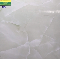 Gạch lát nền 50x50  tồn kho 509
