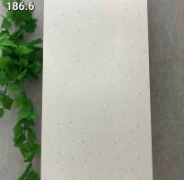 Gạch Lát Nền 60x120 Đá Mờ Tezzarro Nhập Khẩu TQ