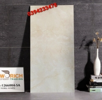 Gạch Lát Nền 60x120 Tại Bình Chánh