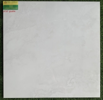 Gạch lát nền 60x60 bình tân 663011