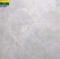 Gạch lát nền 60x60 catalan 6938