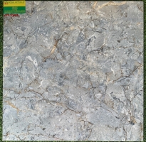 Gạch lát nền 60x60 đá bóng giá rẻ E6102