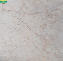 Gạch cao cấp 80x80 lát nền 8856