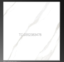 Gạch Lát Nền 80x80 Cao cấp Mẫu Mới 2022