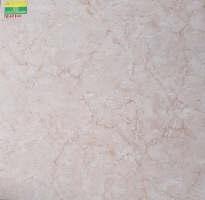 Gạch lát nền cao cấp 80x80 tồn kho 8101