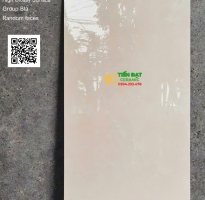 Gạch Lát Nền Apodio 60x120 Vân Vàng Kem Trơn Vi Tinh